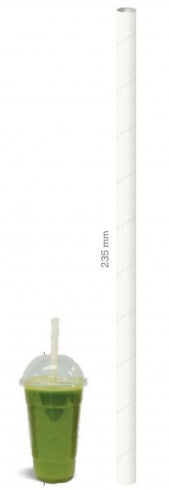Castaway PSJUM Paper Straws Jumbo 235mm L