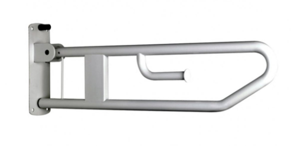 Bradley 832 Drop Down Rail Nurse Call and Toilet Roll Holder