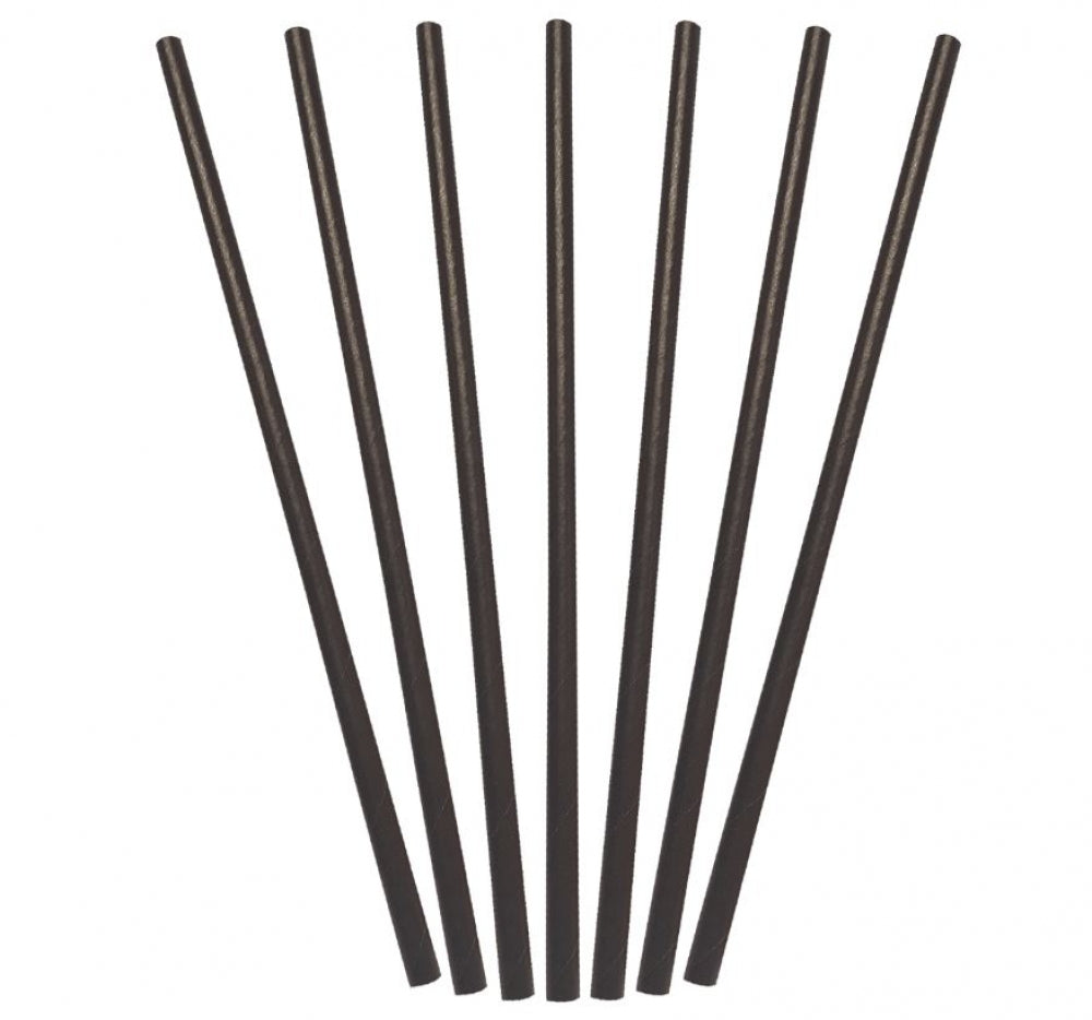 Castaway PSREG Paper Straws Regular 205mm L