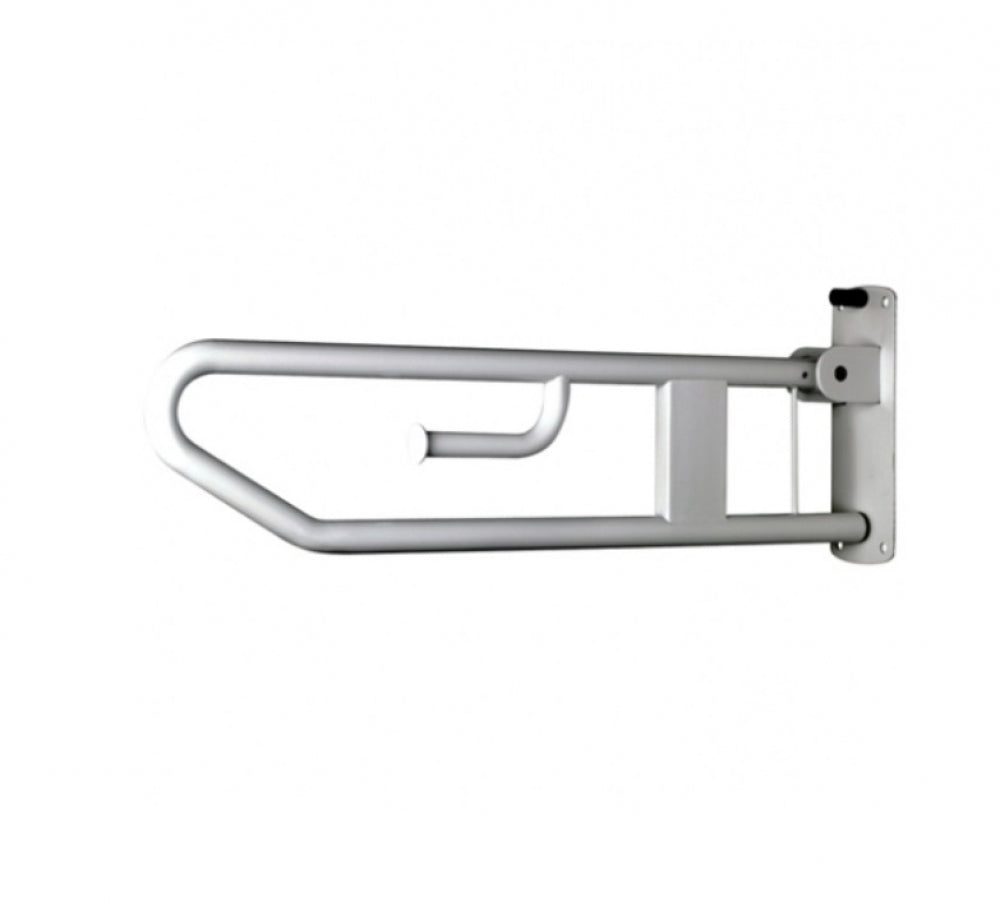 Bradley 832 Drop Down Rail Nurse Call and Toilet Roll Holder