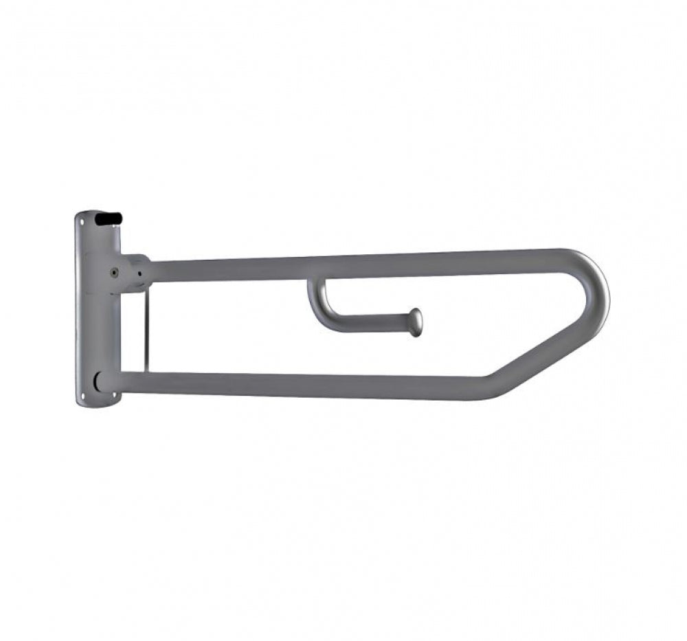Bradley 832-101 Drop Down Rail with Toilet Roll Holder